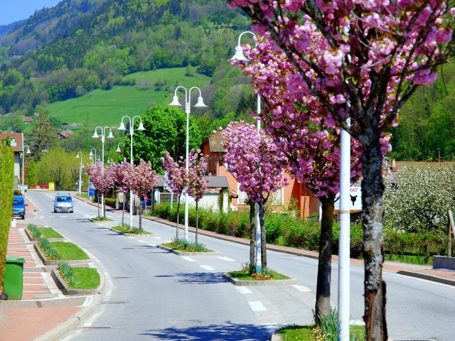 entre-dallevard-mairie-dallevard-les-bains.jpg