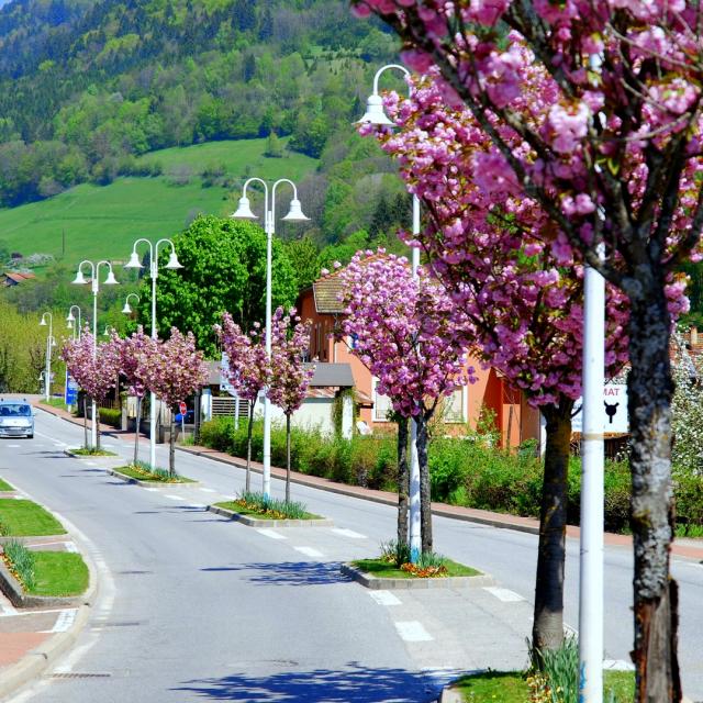 entre-dallevard-mairie-dallevard-les-bains.jpg