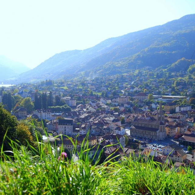 vues-allevard-depuis-route-collet-2-mairie-dallevard-les-bains.jpg