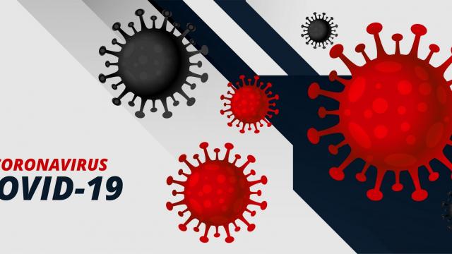 coronavirus covid-19